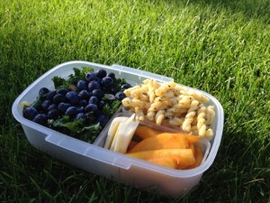 Kale and Blueberry Salad Bento